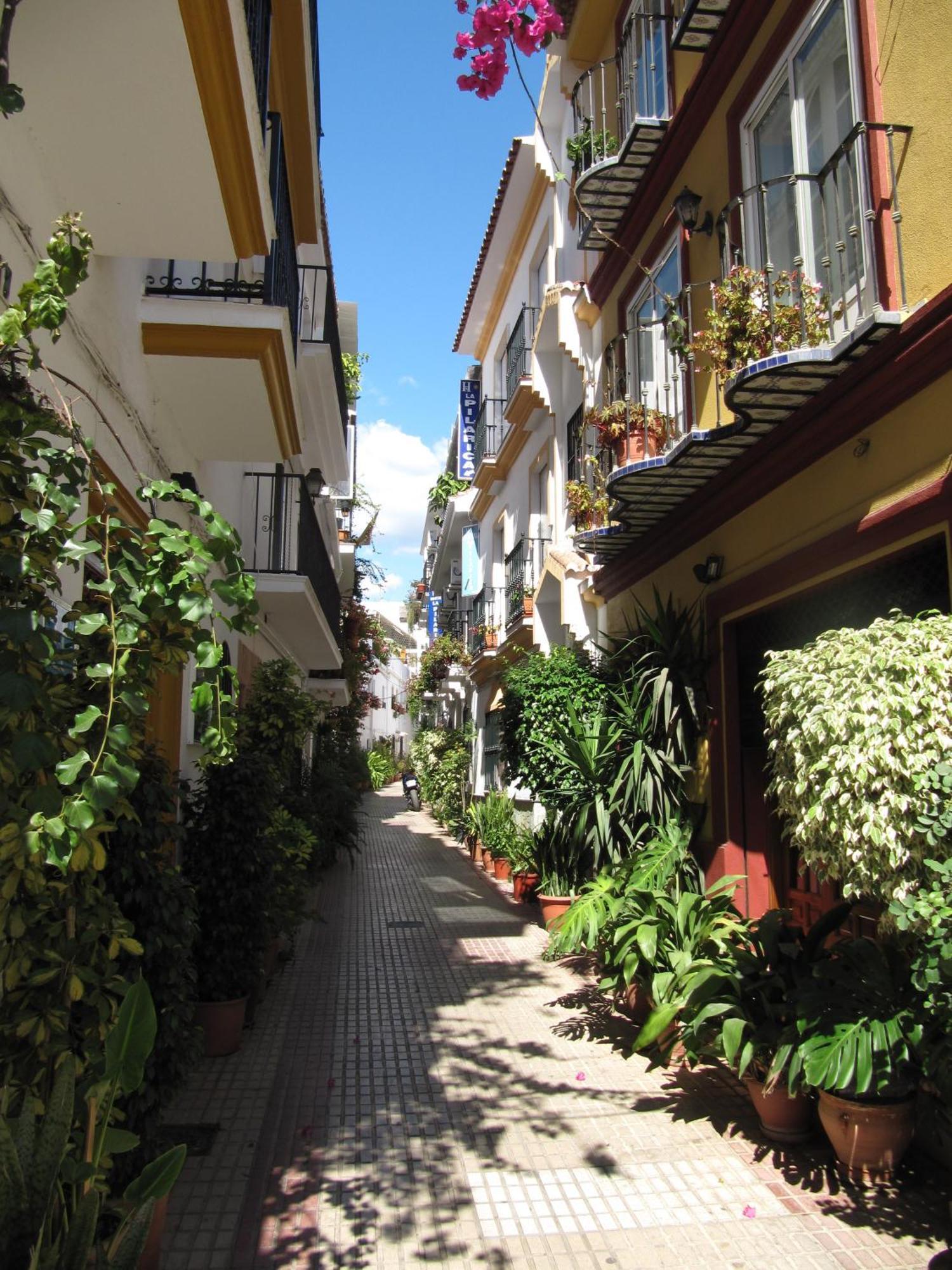 Hostal La Pilarica Marbella Exterior photo