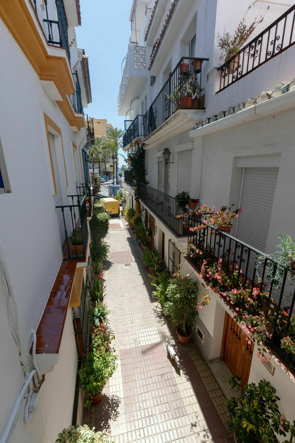 Hostal La Pilarica Marbella Exterior photo