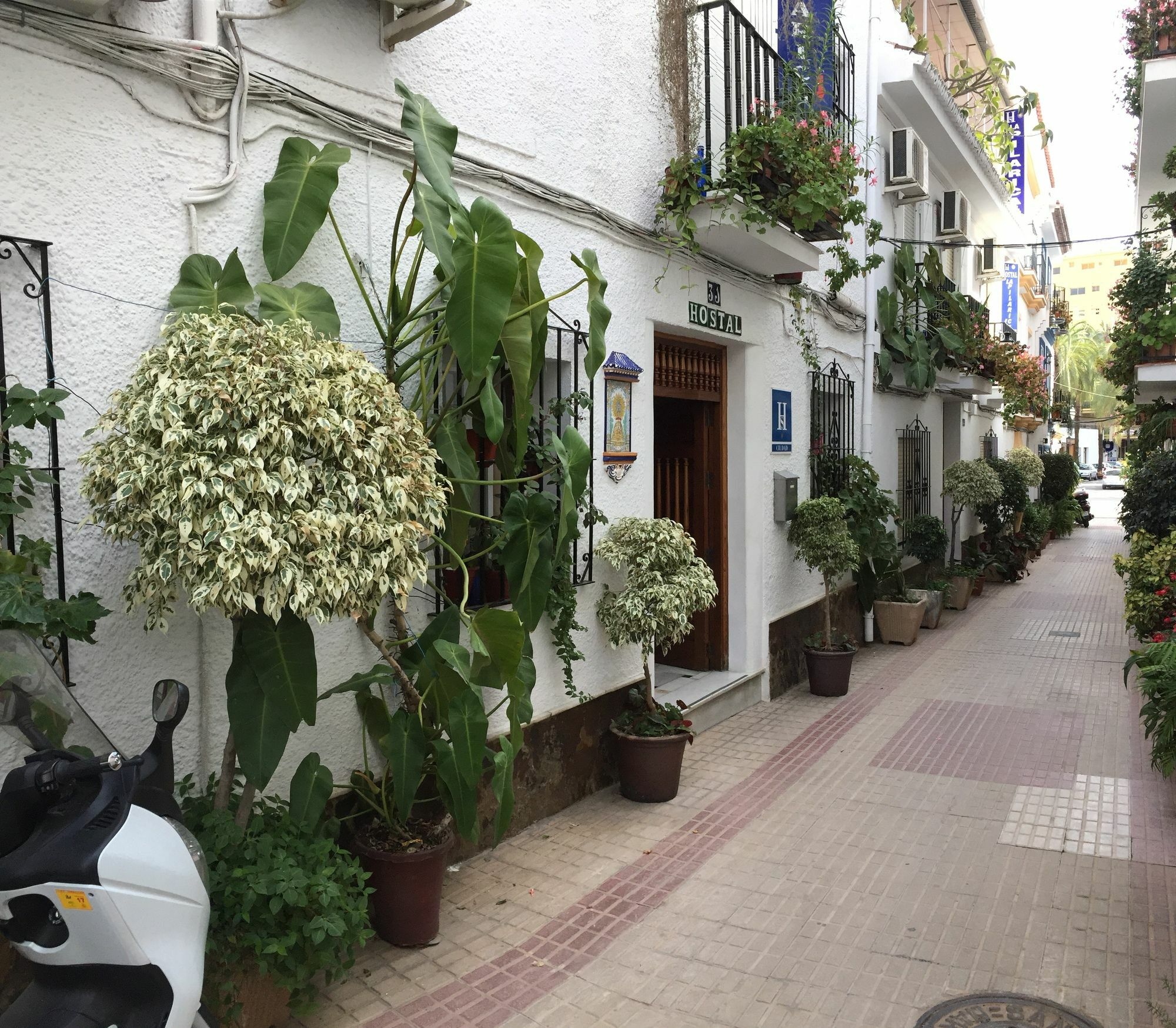 Hostal La Pilarica Marbella Exterior photo